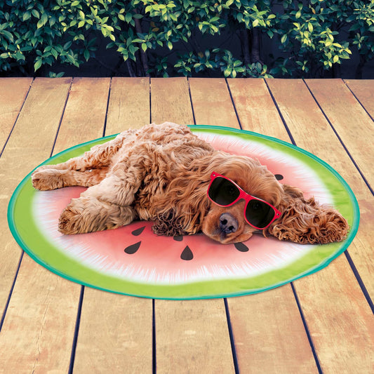 Happy dog lounging on a watermelon-shaped pool float in the summer sun – perfect pet cooling accessory for hot weather.