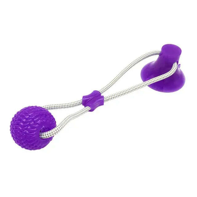 Close-up of a suction ball interactive dog toy, ideal for solo or interactive play.