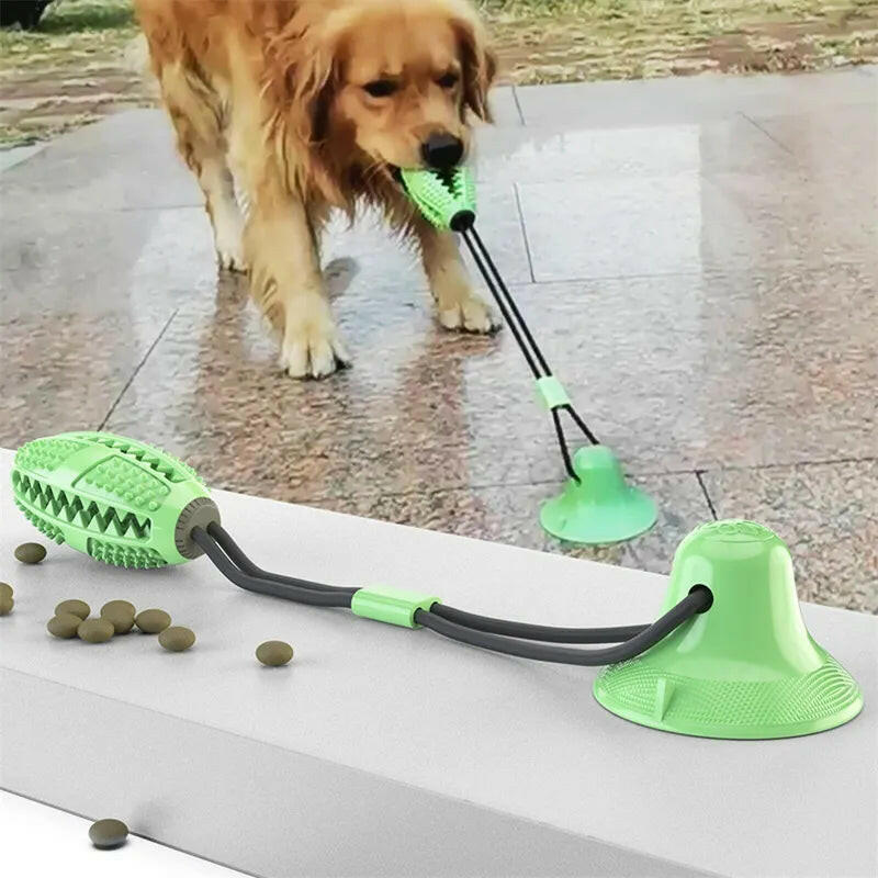 Happy dog engaging with a suction ball toy, perfect for preventing boredom.