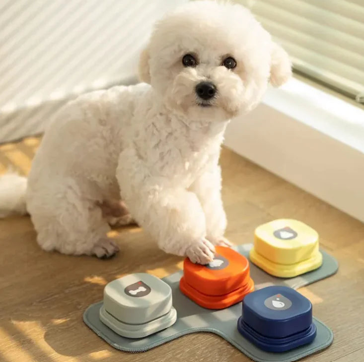 Interactive button with a recording feature, designed to engage and teach pets new tricks