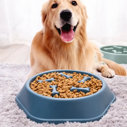 Slow Feeder Pet Bowl Happy Paws Haven .