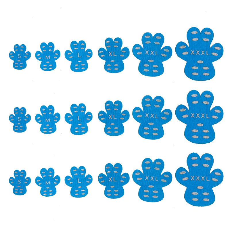 Assorted sizes of blue paw decals with grip holes for pet protection, labeled S, M, L, XL, XXL, XXXL