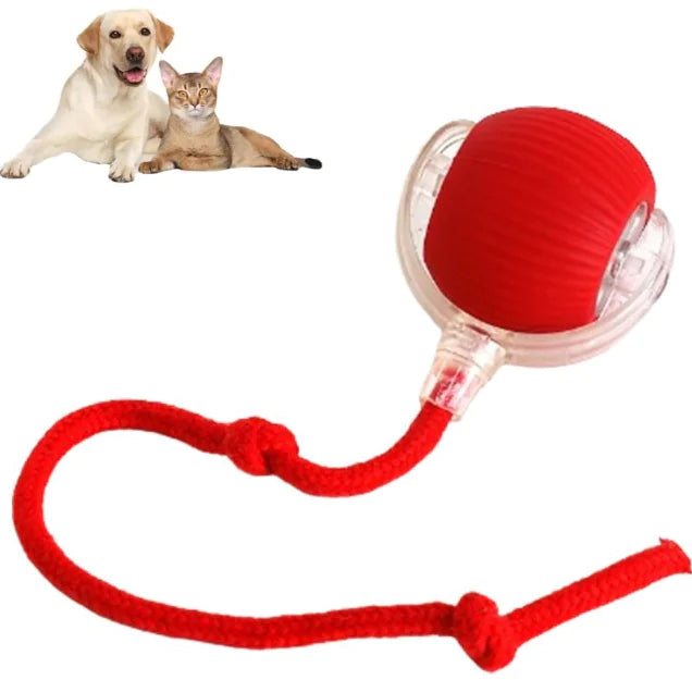 Rolling Ball For Dogs Doggie Ball Interactive Dog Smart Ball Toy Interactive Cat Ball Toy 360 Smart Automatic Rolling Pet Ball Happy Paws Haven .