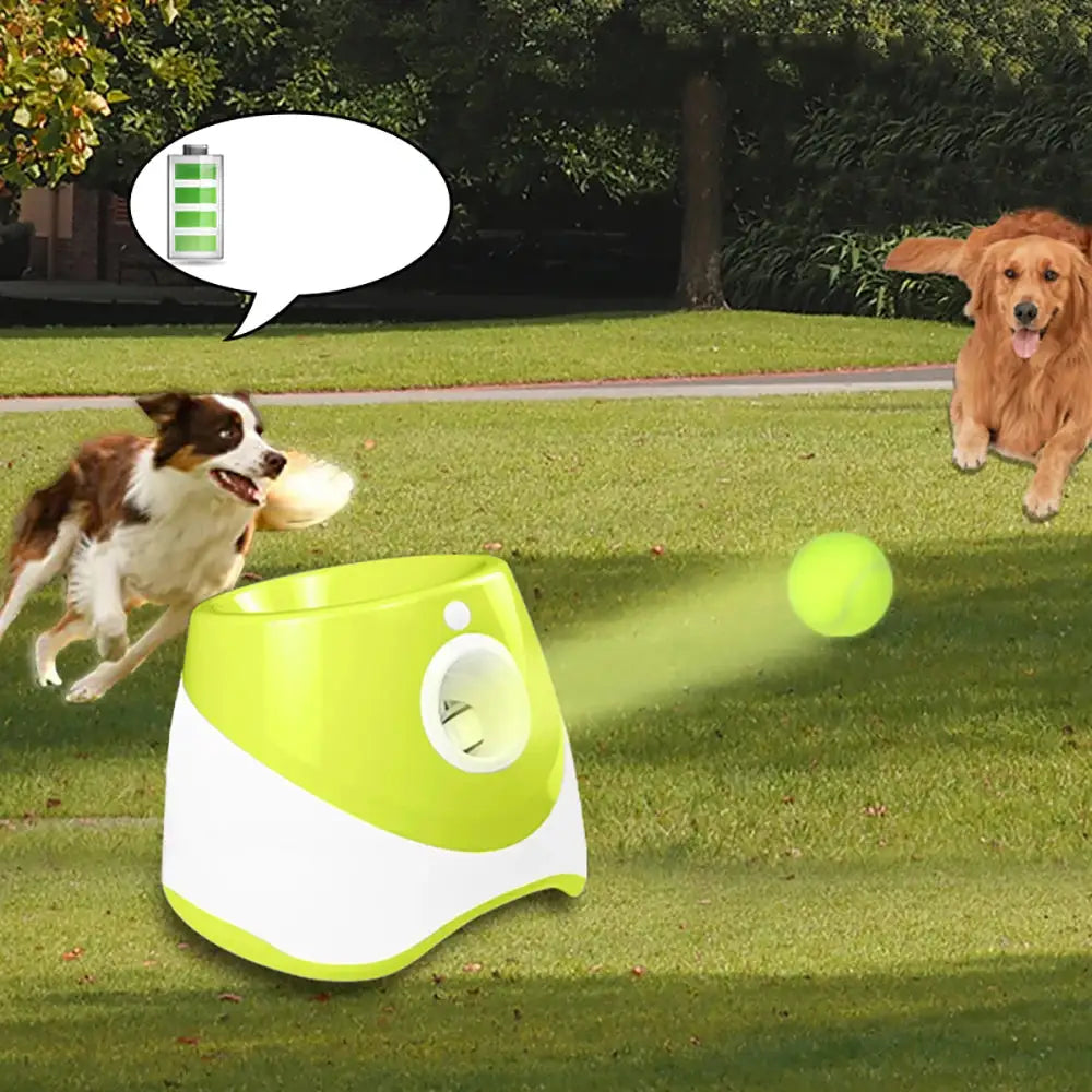 Automatic Tennis Ball Launcher Happy Paws Haven .