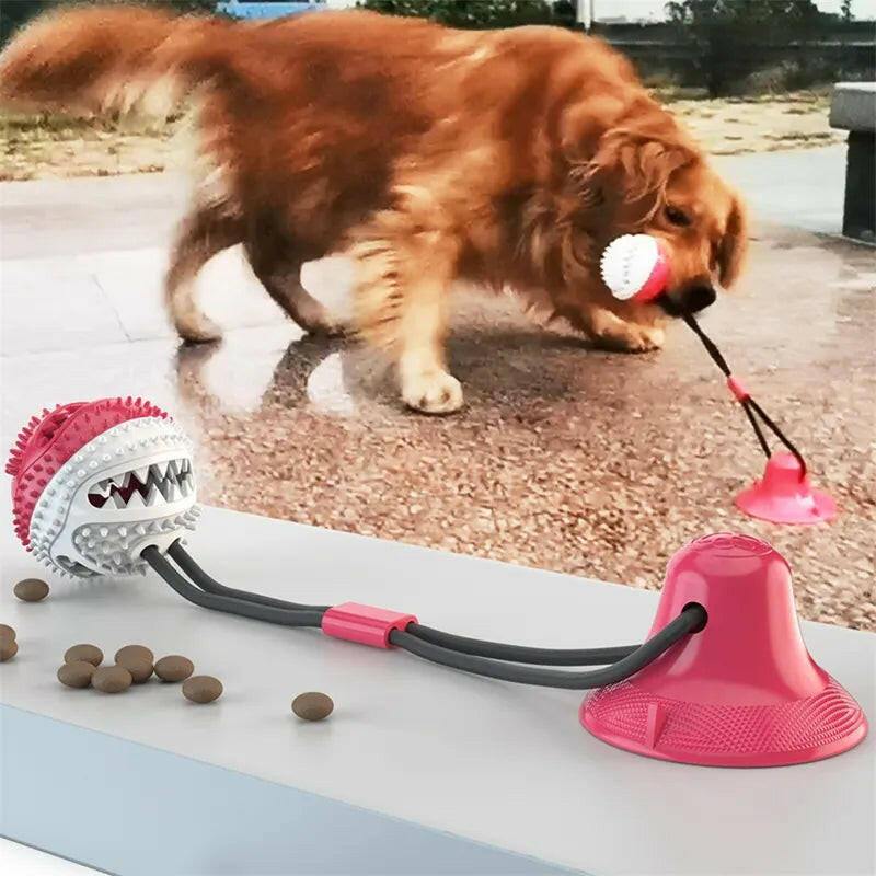 Durable suction ball toy providing mental stimulation and physical activity for dogs.