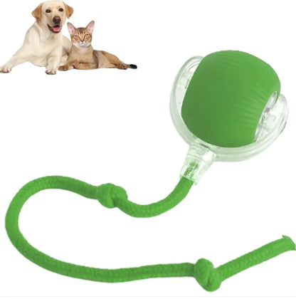 Rolling Ball For Dogs Doggie Ball Interactive Dog Smart Ball Toy Interactive Cat Ball Toy 360 Smart Automatic Rolling Pet Ball Happy Paws Haven .