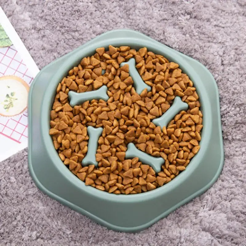 Slow Feeder Pet Bowl Happy Paws Haven .