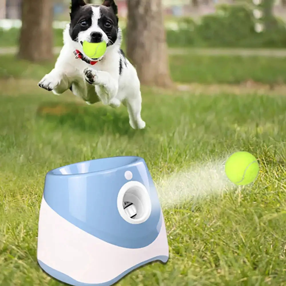 Automatic Tennis Ball Launcher Happy Paws Haven .