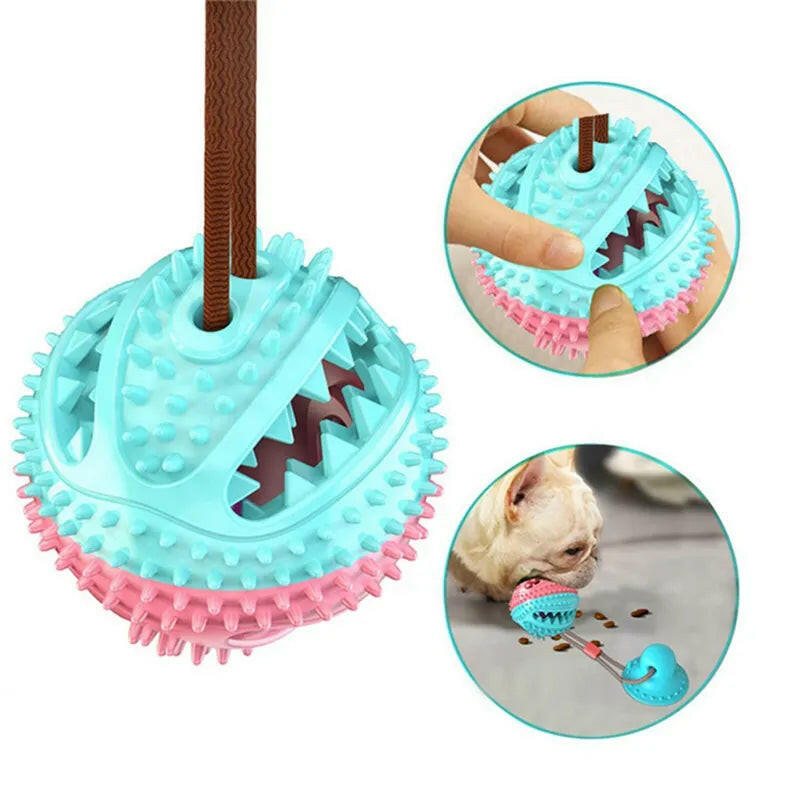 Suction Ball Interactive Dog Toy Happy Paws Haven .