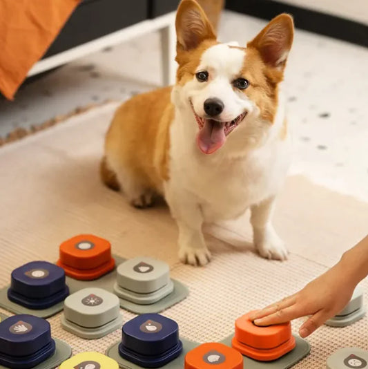 Pet communication button in multiple colors, perfect for training and bonding with dogs and cats.